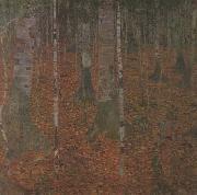 Gustav Klimt Birch Wood (mk20) oil painting reproduction